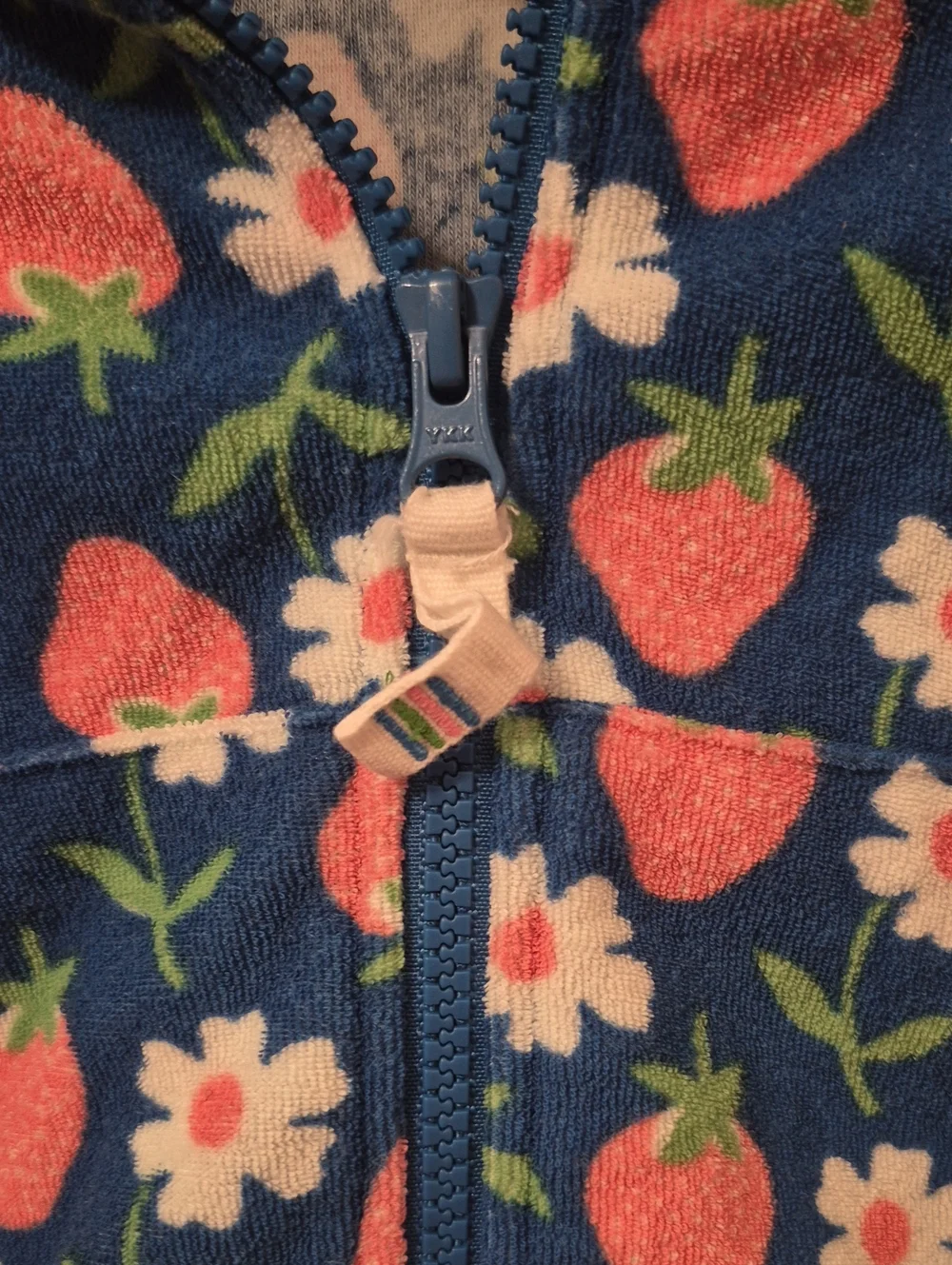Mini Boden Strawberry Terry Zip Hoodie
